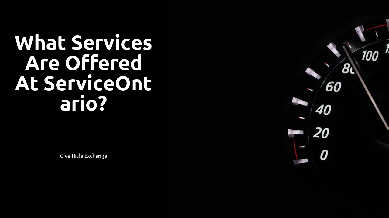 What services are offered at ServiceOntario?